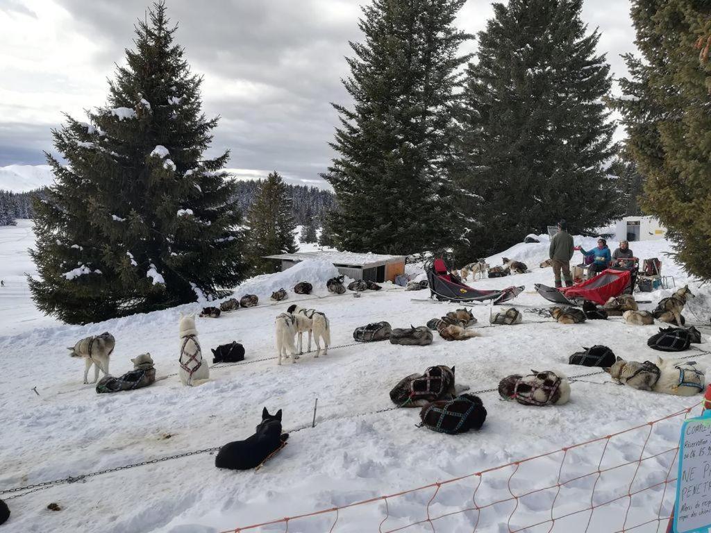 Charmant Studio Cabine Cocoon A 100 M Des Pistes Chamrousse Εξωτερικό φωτογραφία